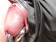 Sneaky Cock
