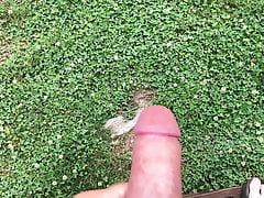 Pissing In The Wind