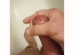 Penis