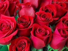 Mature, hd videos, bangladeshi