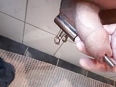 Cock training