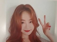 Cumtribute Korean 2