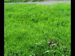 Masturbation outdoors