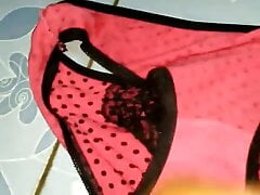 CD merah sexy sangee