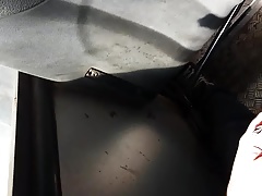 Paja en el bus II