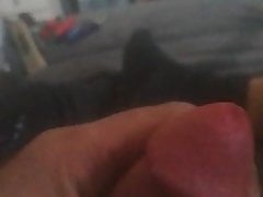 Comon... Touch my Dick