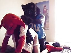 Fursuit to two