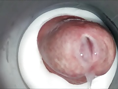 Internal Fleshlight Cumshot