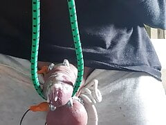 Tens milking