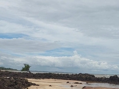 Ladysilva bare on beach