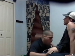 Chacal hetero ordeñado