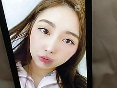 xchocobars cum tribute