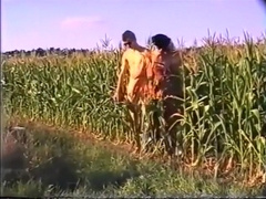 Strolche Amp Irre 25 Bleisch Hq Vhs Rip