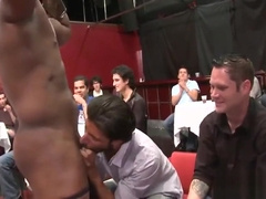 Cum hungry boys doxies