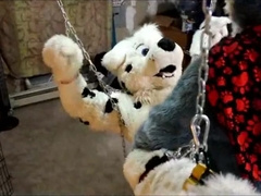 Fursuit sex 113