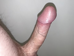 Fat balls