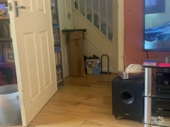 Puppy Greggie Plays With His Owner Matt Gay Porn