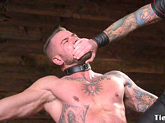 torn bdsm sub restrained for manhood cropping