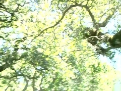 City Boy Corey Meets A Country Boy Mike