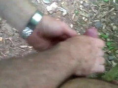 in the park 2 4