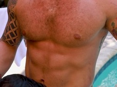 Husky Bears Enjoy Raw Pool Action