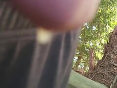 Johnholmesjunior flashing his monster cock while its dripping cum on vancouvers nude beach