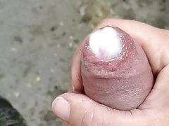 Dnes cum