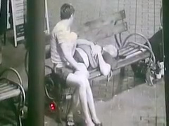 Blowjob In The Park