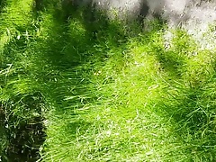 Outdoor jerk on forest path