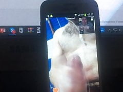 Dardeillosz Webcamera Masturbating