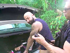 Gay fuck, teddy, grizzly