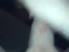 Mon pote gay-for-pay jouis en pensant a ma sting (Sting Fellow)