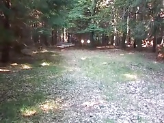 im Wald