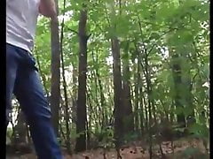 in the forest