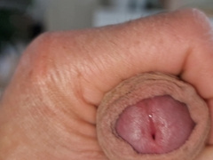 Have fun with crowned Penis head, Foreskin and genitals – close-up uncircumcised bone nutting