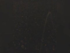 Peeing in a park