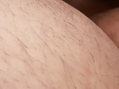 Indian gay bear sucking