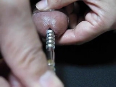 Urethra Sounding Compilation