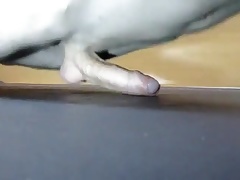 Pushups humping cum closeup