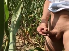 Summer, Sun, Corn & Wanking & Piss 9