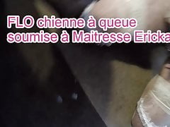 Flo chienne a queue