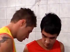 Gay muscle, homo, big cock