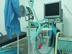 Paja en el polyclinic