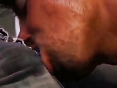 Blind Bareback