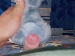 Blue cub Fun#1