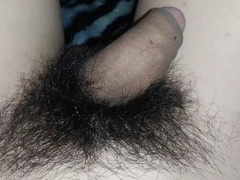 Lollipop Taunt Firm to Tender