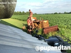 Pup&tank 4