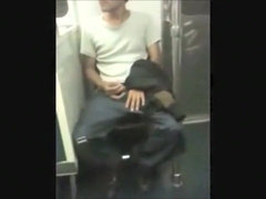 Buses cars and trains... oh my! EXHIB