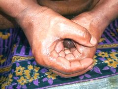 Indian Desi Big Cock I am Masturbating with Oil this is part (1)