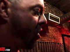 Alphamales - Strong stud